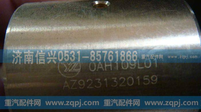 AZ9231320159,AC16差速器十字轴衬套,济南信兴汽车配件贸易有限公司