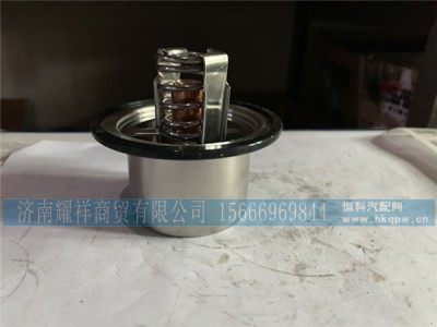 VG1047060002,调温器芯,济南耀祥商贸有限公司