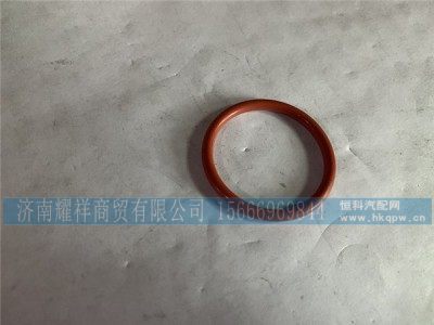 VG1246040024,密封圈,济南耀祥商贸有限公司