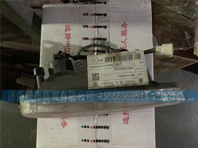 WG9113720003,左雾灯-转向灯总成,济南耀祥商贸有限公司