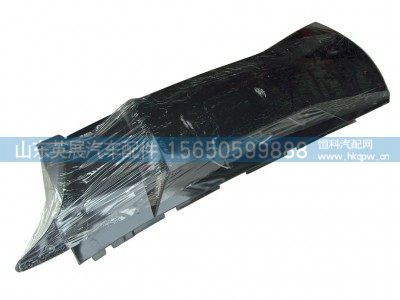 WG664110051-2,A7导风罩（左-右）,山东英展汽车配件有限公司