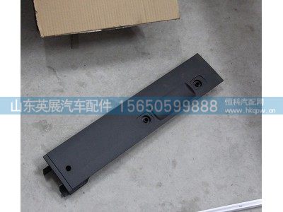 810W62930-5169,HOWO顶盖左侧前装饰件,山东英展汽车配件有限公司