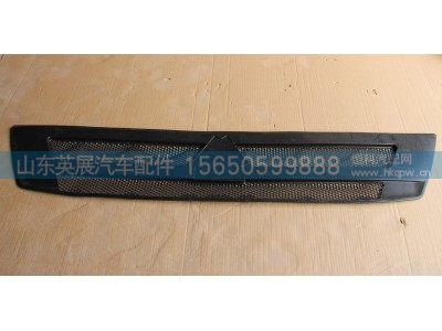 WG1662115016,前面罩装饰网T5G,山东英展汽车配件有限公司