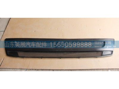 WG1664112061,前面罩网T7,山东英展汽车配件有限公司