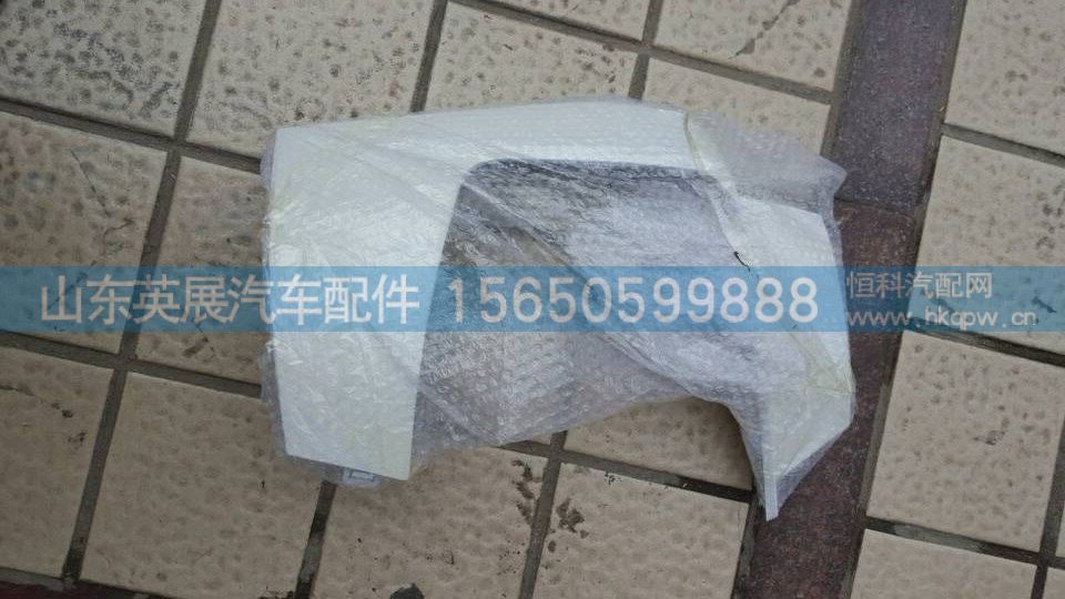 WG1664245003/4,保险杠左右端T5G,山东英展汽车配件有限公司