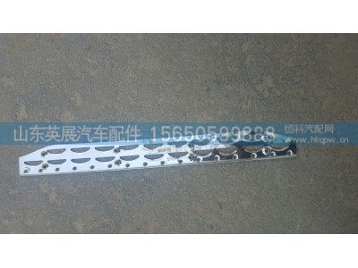 WG1664245007,保险杠防滑板T5G,山东英展汽车配件有限公司