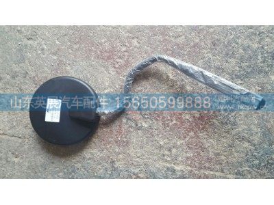 WG1664771030,前下视镜,山东英展汽车配件有限公司
