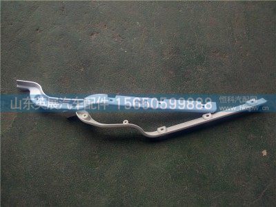 WG1684240723,保险杠装饰板,山东英展汽车配件有限公司