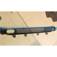WG9525930102,保险杠格栅,山东英展汽车配件有限公司
