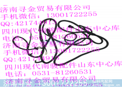 ,車架線束,濟(jì)南尋金貿(mào)易有限公司