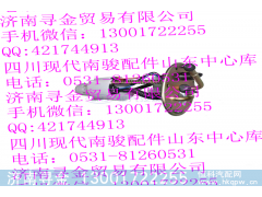 ,電動燃油泵總成,濟(jì)南尋金貿(mào)易有限公司