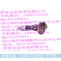 ,電動燃油泵總成,濟(jì)南尋金貿(mào)易有限公司