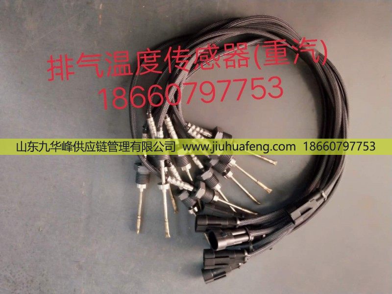 WG1034121033,排氣溫度傳感器,山東九華峰供應(yīng)鏈管理有限公司