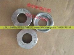 ,螺絲帽,山東九華峰供應鏈管理有限公司
