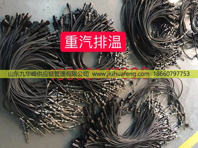 WG1034121033,排气温度传感器,山东九华峰供应链管理有限公司