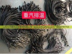 WG1034121033,排气温度传感器,山东九华峰供应链管理有限公司