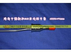 WG1034121102,,山东九华峰供应链管理有限公司