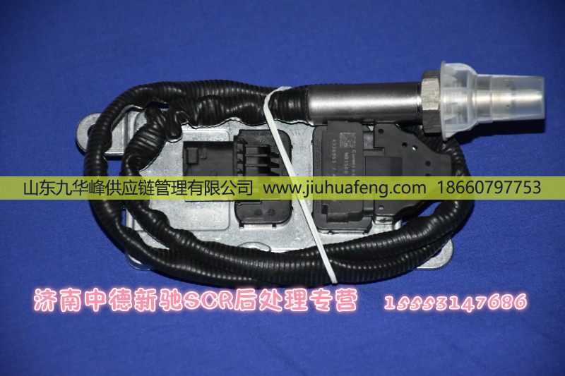 76765A,,山东九华峰供应链管理有限公司