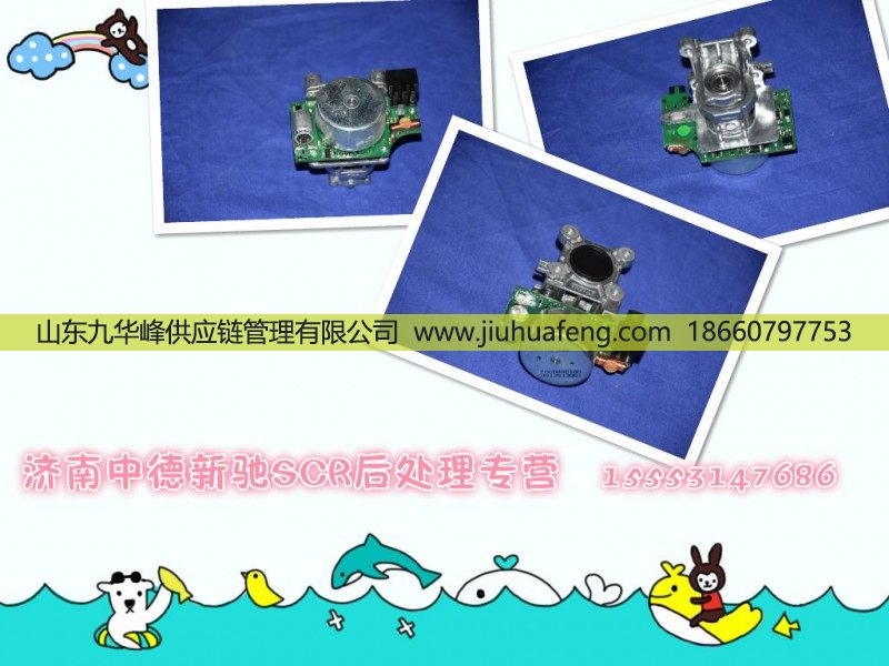 ,,山东九华峰供应链管理有限公司