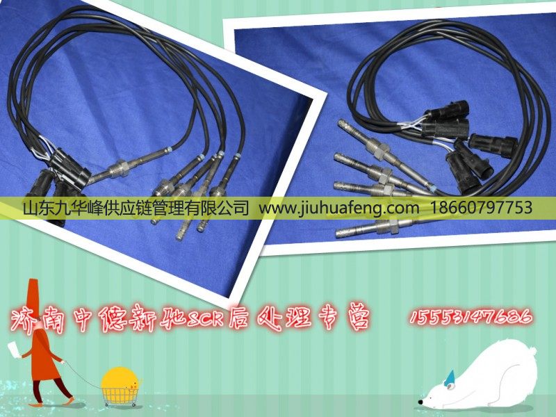 3602505-51B/D,,山东九华峰供应链管理有限公司