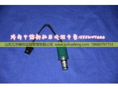 ,,山东九华峰供应链管理有限公司