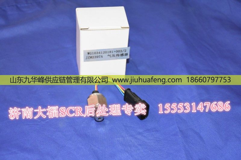 120181+003,,山东九华峰供应链管理有限公司