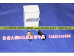 120181+003,,山东九华峰供应链管理有限公司