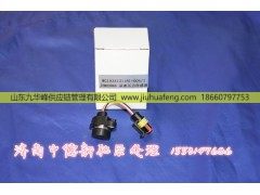 121181+004,,山东九华峰供应链管理有限公司