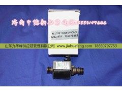 121181+006,,山东九华峰供应链管理有限公司