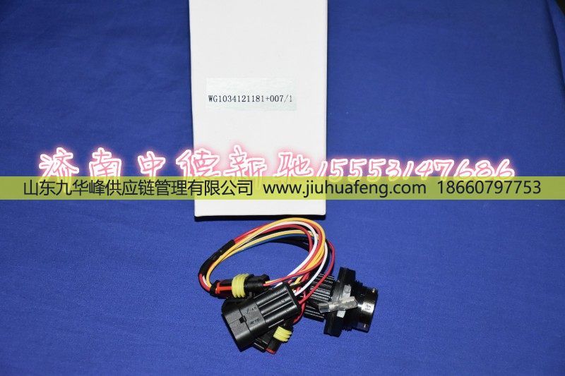 121181+007,,山东九华峰供应链管理有限公司