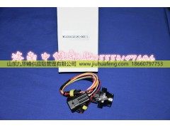 121181+007,,山东九华峰供应链管理有限公司