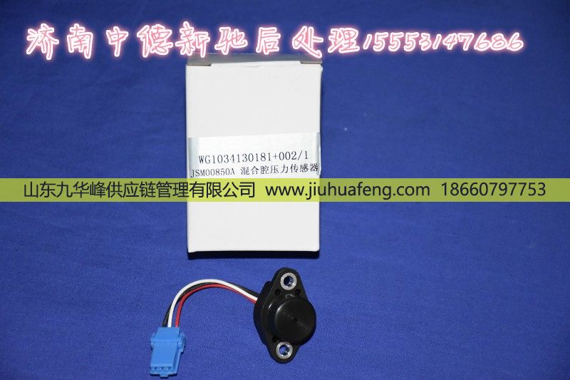 130181+002,,山东九华峰供应链管理有限公司