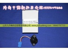 130181+002,,山东九华峰供应链管理有限公司