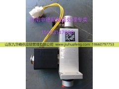 ,,山东九华峰供应链管理有限公司