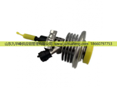 3C0131113C 95811141330 A0004900713 0444021021,尿素喷嘴 Adblue Nozzle,山东九华峰供应链管理有限公司