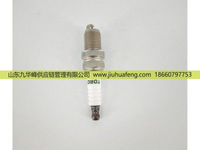 2008,火花塞 Spark Plug,山东九华峰供应链管理有限公司