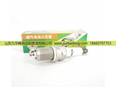 5498-3 612600192176,火花塞 Spark plug,山东九华峰供应链管理有限公司