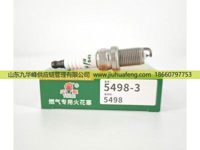 5498-3 612600192176,火花塞 Spark plug,山东九华峰供应链管理有限公司