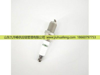 5498-3 612600192176,火花塞 Spark plug,山东九华峰供应链管理有限公司