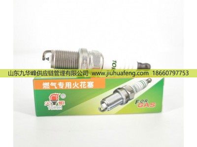 5498-3 612600192176,火花塞 Spark plug,山东九华峰供应链管理有限公司