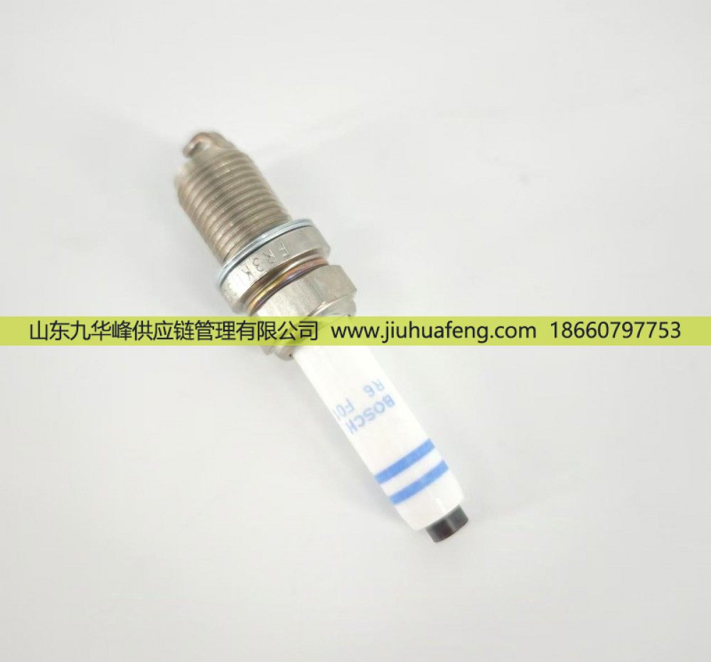 5557905,火花塞 Spark Plug,山东九华峰供应链管理有限公司