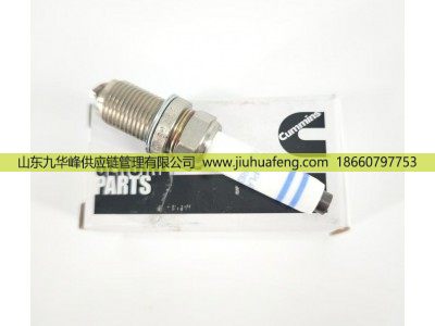 5557905,火花塞 Spark Plug,山东九华峰供应链管理有限公司