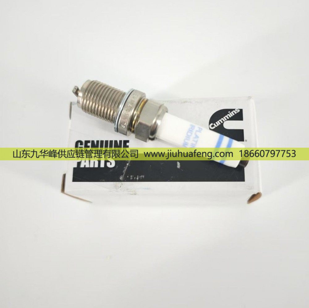 5557905,火花塞 Spark Plug,山东九华峰供应链管理有限公司