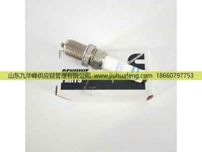 5557905,火花塞 Spark Plug,山东九华峰供应链管理有限公司