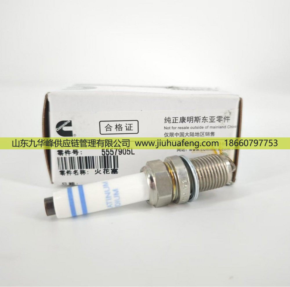 5557905,火花塞 Spark Plug,山东九华峰供应链管理有限公司