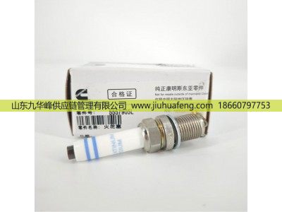 5557905,火花塞 Spark Plug,山东九华峰供应链管理有限公司
