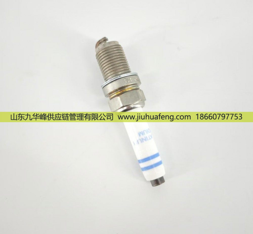 5557905,火花塞 Spark Plug,山东九华峰供应链管理有限公司