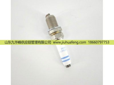 5557905,火花塞 Spark Plug,山东九华峰供应链管理有限公司