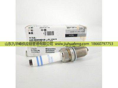 5557905,火花塞 Spark Plug,山东九华峰供应链管理有限公司