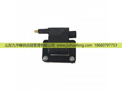 R80034 DQR1234,点火线圈 Ignition Coil,山东九华峰供应链管理有限公司